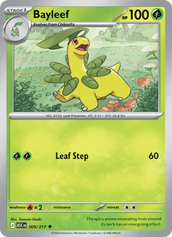 Bayleef 009