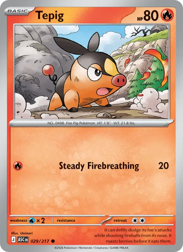 Tepig 029