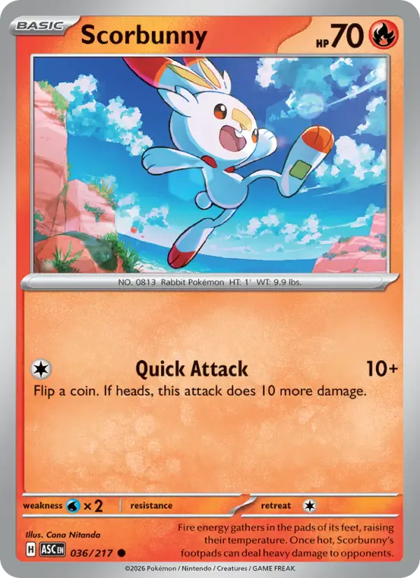 Scorbunny 036