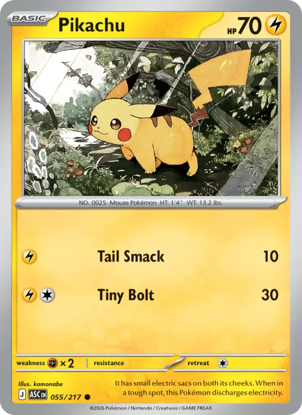 Pikachu 055