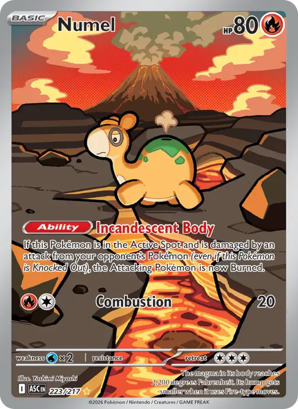 Numel 223