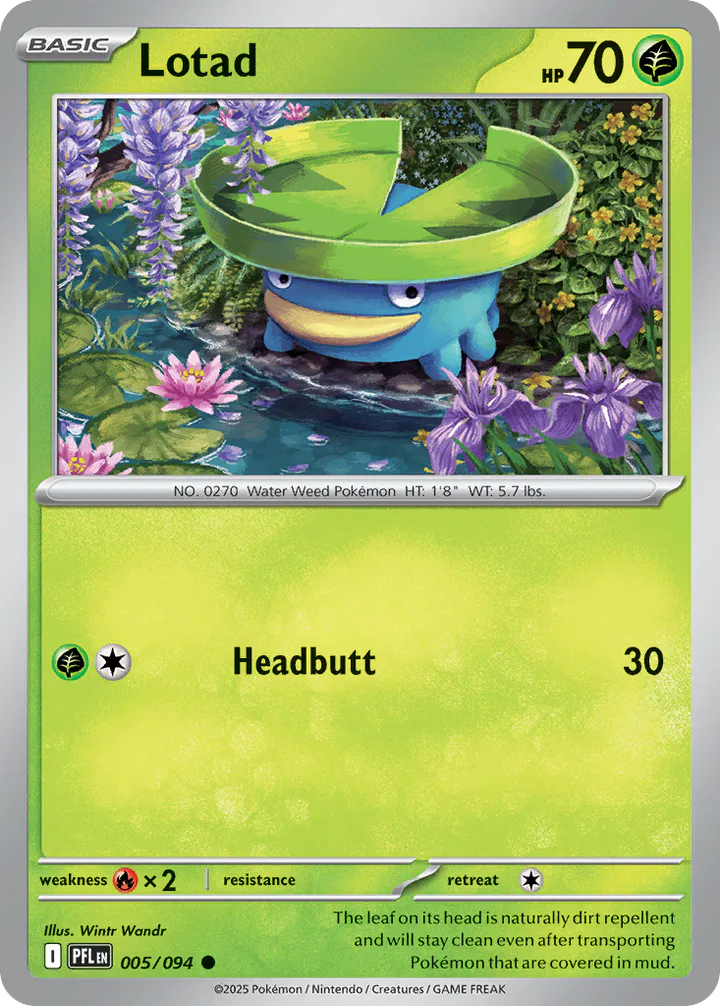 Lotad 005