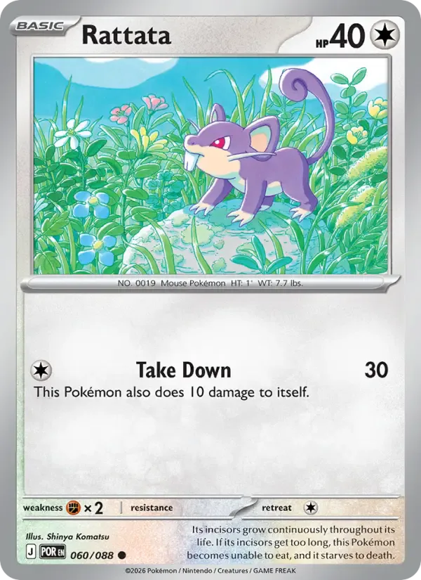 Rattata 060