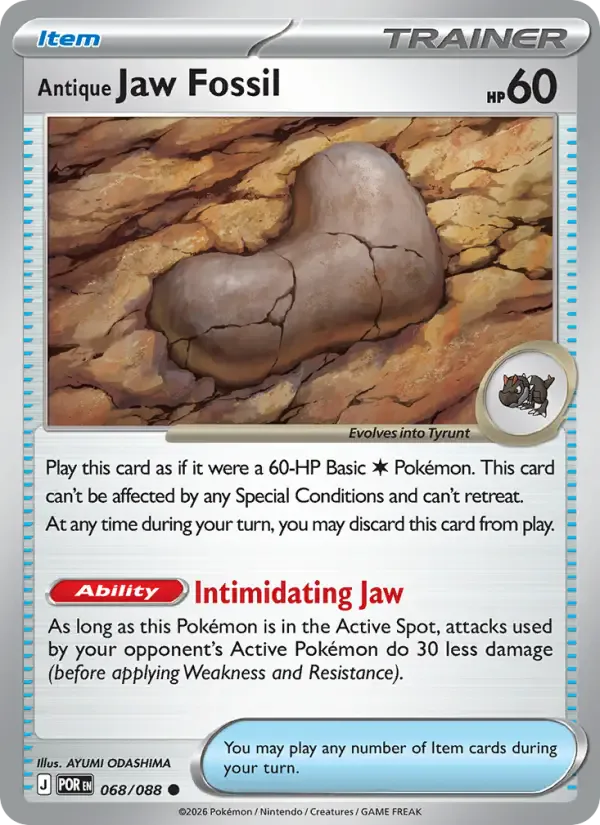Antique Jaw Fossil 068