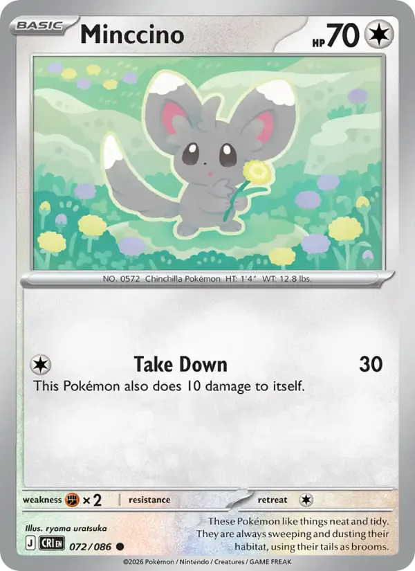 Minccino 072