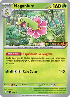 Meganium 001