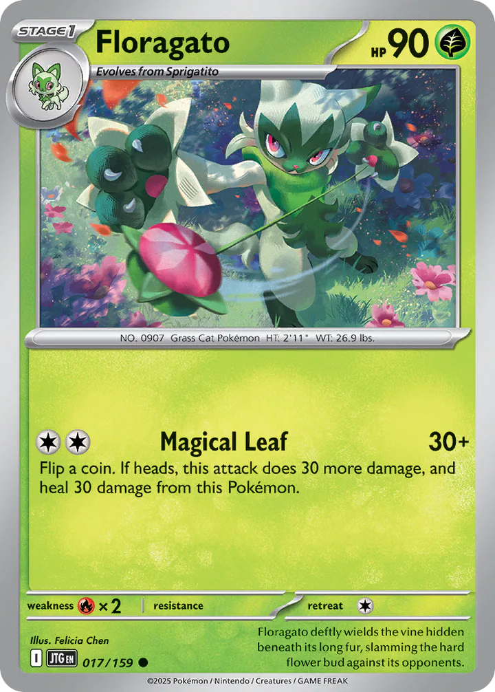 Floragato 017