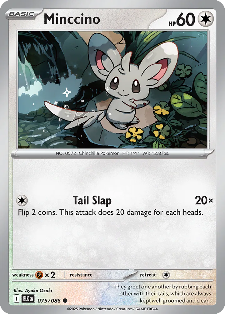 Minccino 075