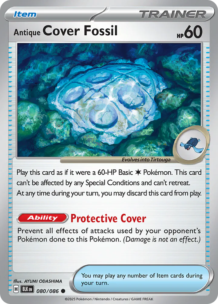 Antique Cover Fossil 080