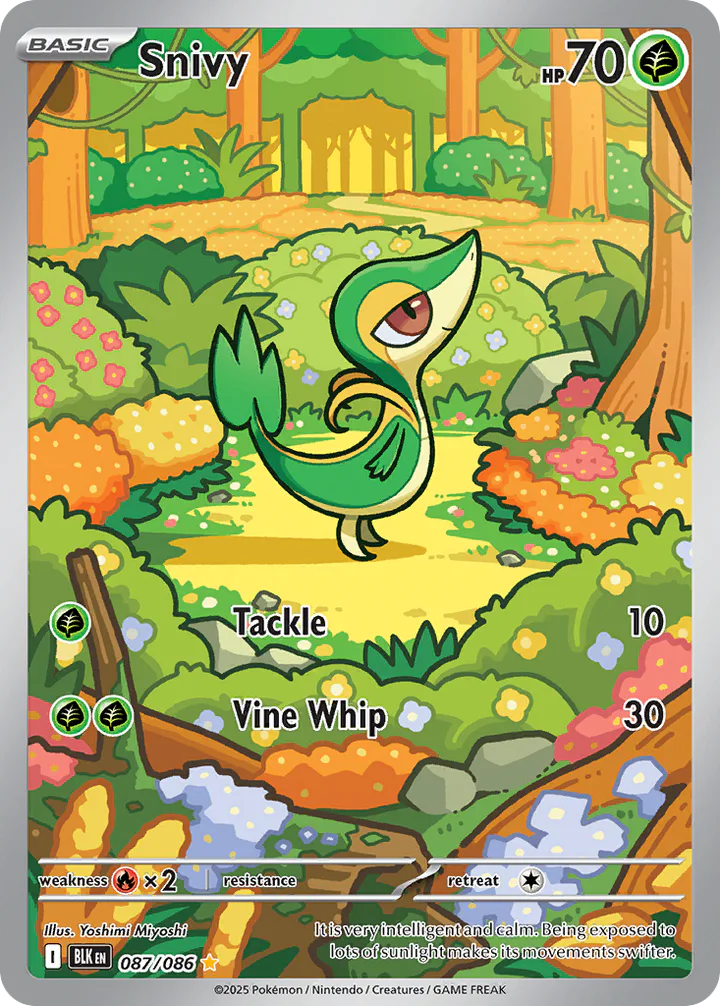 Snivy 087