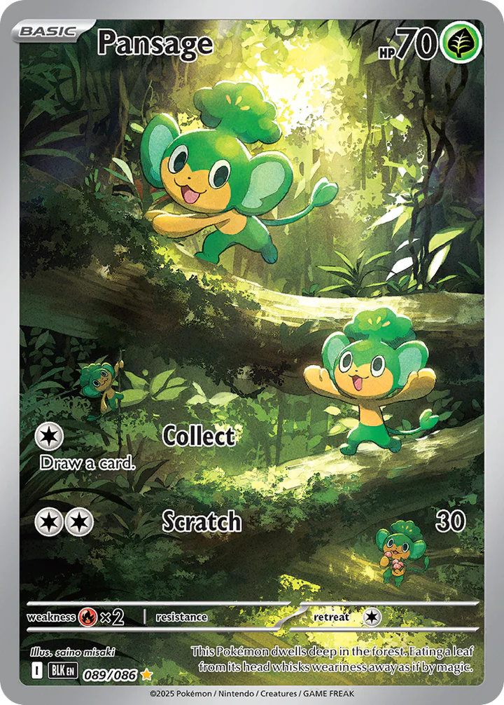 Pansage 089