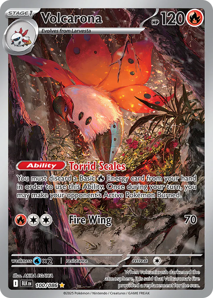 Volcarona 100
